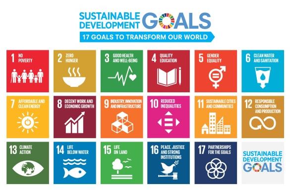 「持続可能な開発目標（SDGs）」イベント開催　国連の研究員と共に、これからの近大のあり方を考える