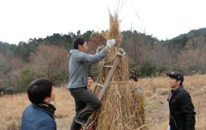 茅葺き屋根修復に使う