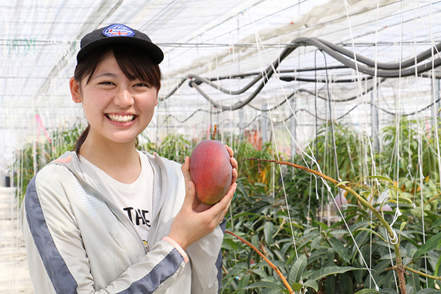 近大マンゴー「愛紅」を千疋屋総本店日本橋本店で販売　8/10（土）・11（日）には試食販売実施