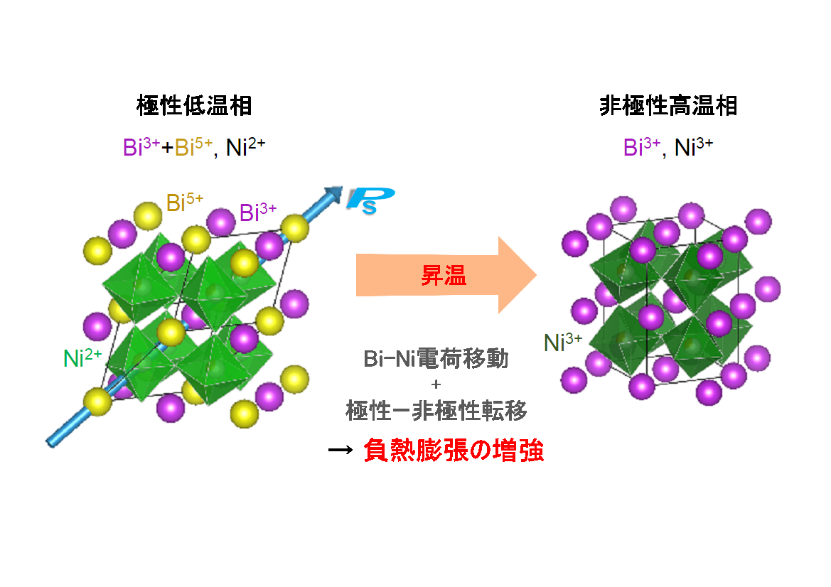 新材料の"温めると縮む"効果、2つのメカニズムの同時発生で高まることを発見　―精密位置決めが必要な工程に対応―