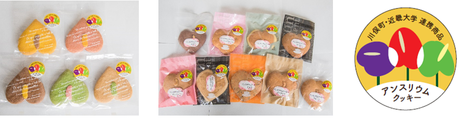 "オール近大"川俣町復興支援プロジェクト「アンスリウムクッキー」を新発売