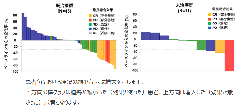 原発不明がんに新たな治療法を！　原発不明がんにおけるオプジーボの有効性を証明