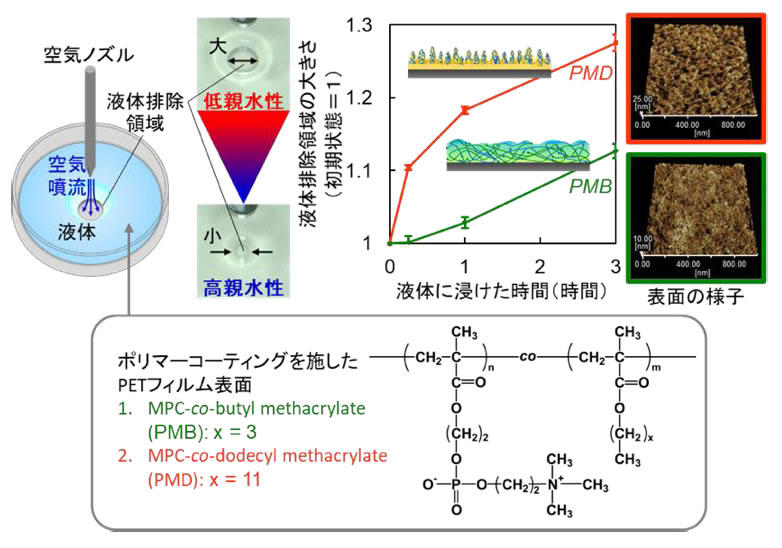 生体接触型医療機器コーティング材料の新しい評価法　－ポリマーコーティングの2段階の水和挙動を簡単に検出－