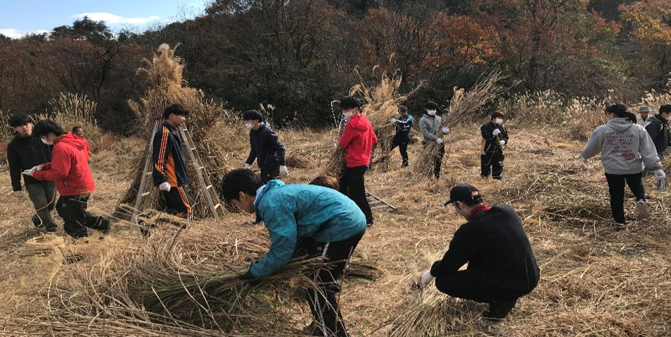 「茅葺(かやぶき)」「茅採取(かやさいしゅ)」ユネスコ無形文化遺産登録予定　建築学科学生らが毎年恒例の「茅採取」を実施し伝統技術を学ぶ