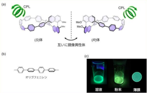 らせん状にねじれたオリゴフェニレンによる円偏光発光色素を開発　～円偏光有機LEDやバイオイメージング材料への応用に期待～