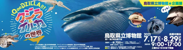 鳥取県立博物館企画展「クジラとイルカの世界」　農学部水産学科海棲哺乳類学研究室が展示協力