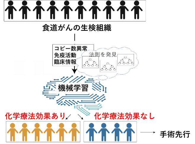 ゲノムとAIにより食道がんの術前化学療法の効果を予測　－ゲノムと免疫情報を基にした精密医療に期待－