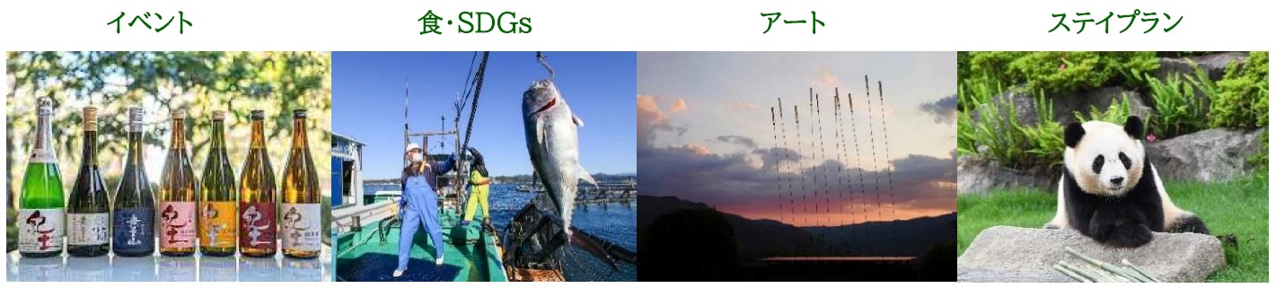 和歌山をテーマにした"食・SDGs・アート・ステイ"の体験イベントで近大産の養殖魚やマンゴーを使用したSDGsに貢献するメニューを提供