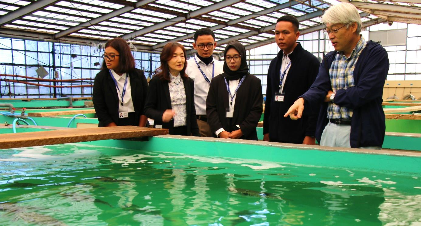 近畿大学水産研究所・水産養殖種苗センターが国際貢献　インドネシア企業の社員が3カ月間にわたり養殖技術を学ぶ