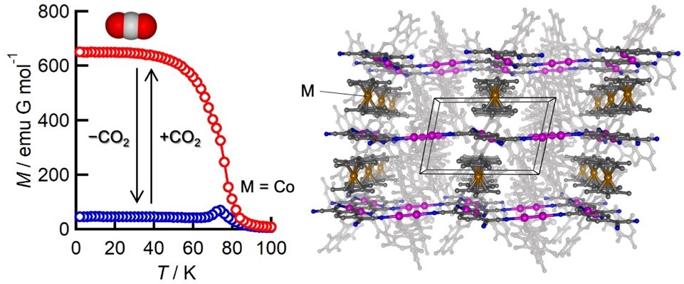 二酸化炭素の吸着で磁石になる多孔質材料を開発　～ガス吸着に伴う構造変化に起因する磁気相変換は世界初～