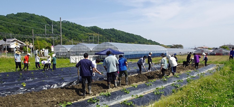 近畿大学農学部で「アグリビジネス実習」を受講する学生が平群南小学校で野菜づくりの出前授業を実施