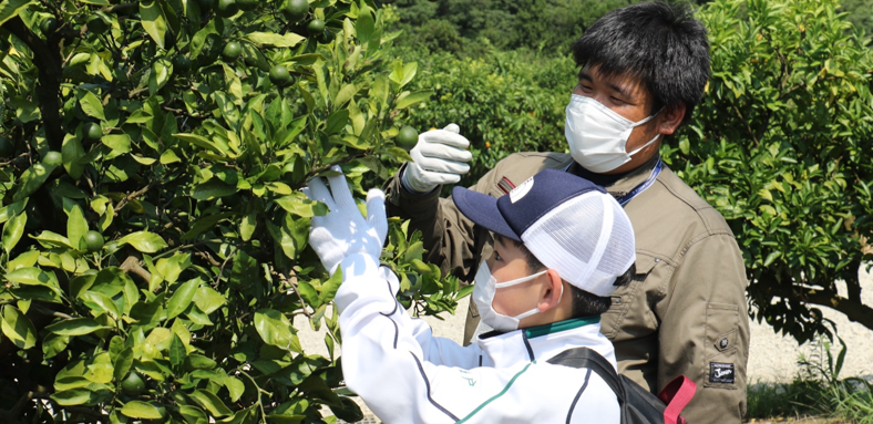 近畿大学附属農場で中学生を対象に「夏の学習合宿」を実施　農業体験を通じて理系分野に対する関心や興味を引き出す