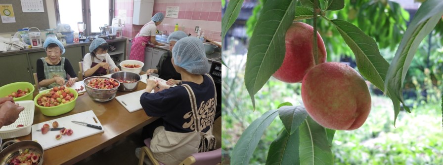 東大阪市ゆかりの古代桃「稲田桃」を病院食に提供　近畿大学薬学部生がジャムを製造＆農学部生がメッセージカードを作成