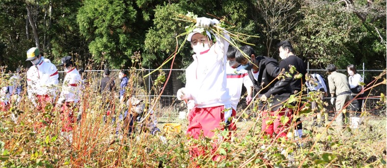 近畿大学附属和歌山中学校の生徒がソバの収穫を体験　「信州そば うどん 信濃路」で「近大おいし蕎麦」として提供予定