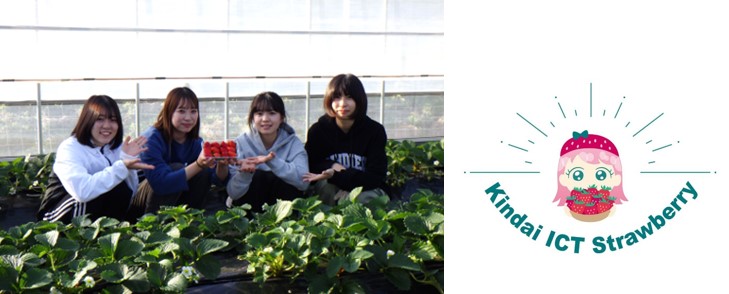 株式会社近鉄リテーリングの地域商品ブランド「irodori kintetsu」で近畿大学農学部生が育てた「近大ICTイチゴ」を初めて販売