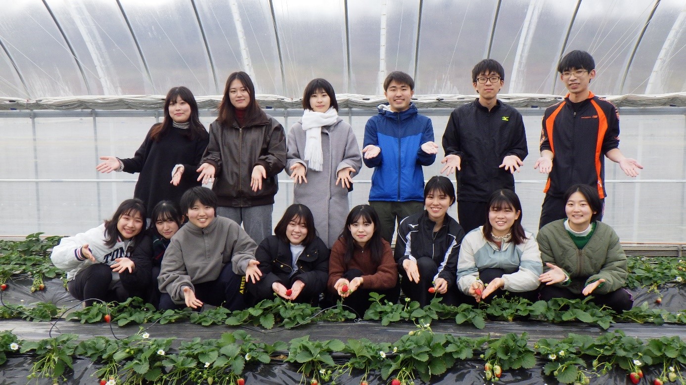 農学部生が実践栽培した「近大ICTイチゴ」を数量・期間限定で販売　産学連携でイチゴ栽培と販売ノウハウを学ぶ