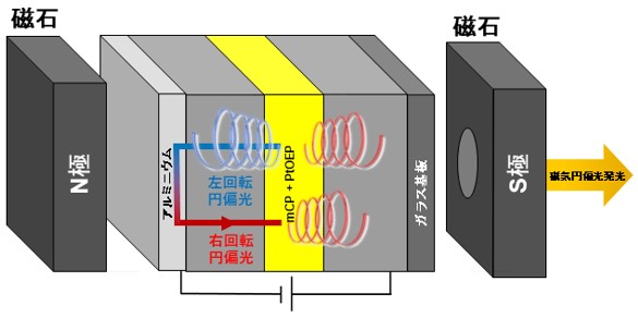 磁場誘起型有機円偏光発光ダイオードの円偏光発生メカニズムを解明　円偏光発光ダイオードの高性能化の設計指針を提示