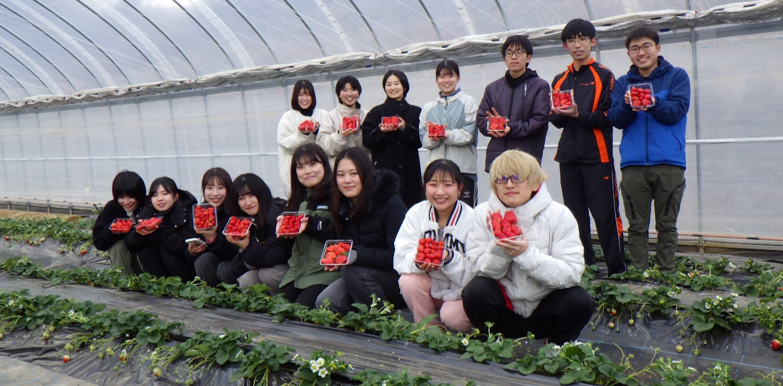 近畿大学農学部生が「ならのいちご感謝祭」にブースを出展　「うどんこ病」を解説し、子どもたちの農業への興味関心を引き出す