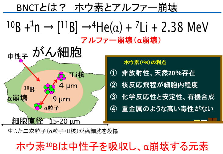 難治性の"がん"は甘いものがお好き！　～膵がんへホウ素を使った新たな治療法開発！～