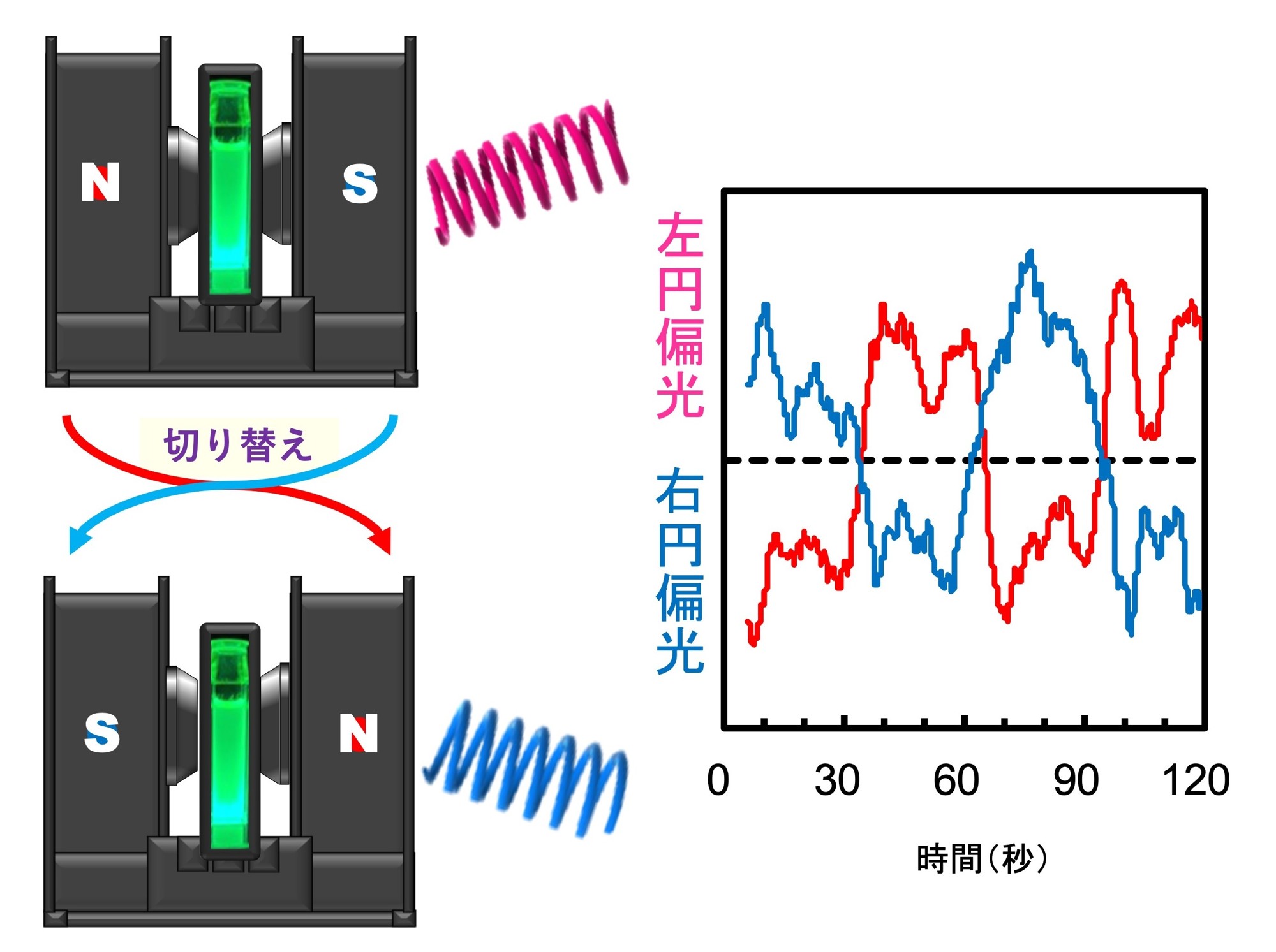 電磁石を用いた簡易的な方法で円偏光の回転方向の高速切替に成功　円偏光発光の高性能化の新たな道筋を開拓