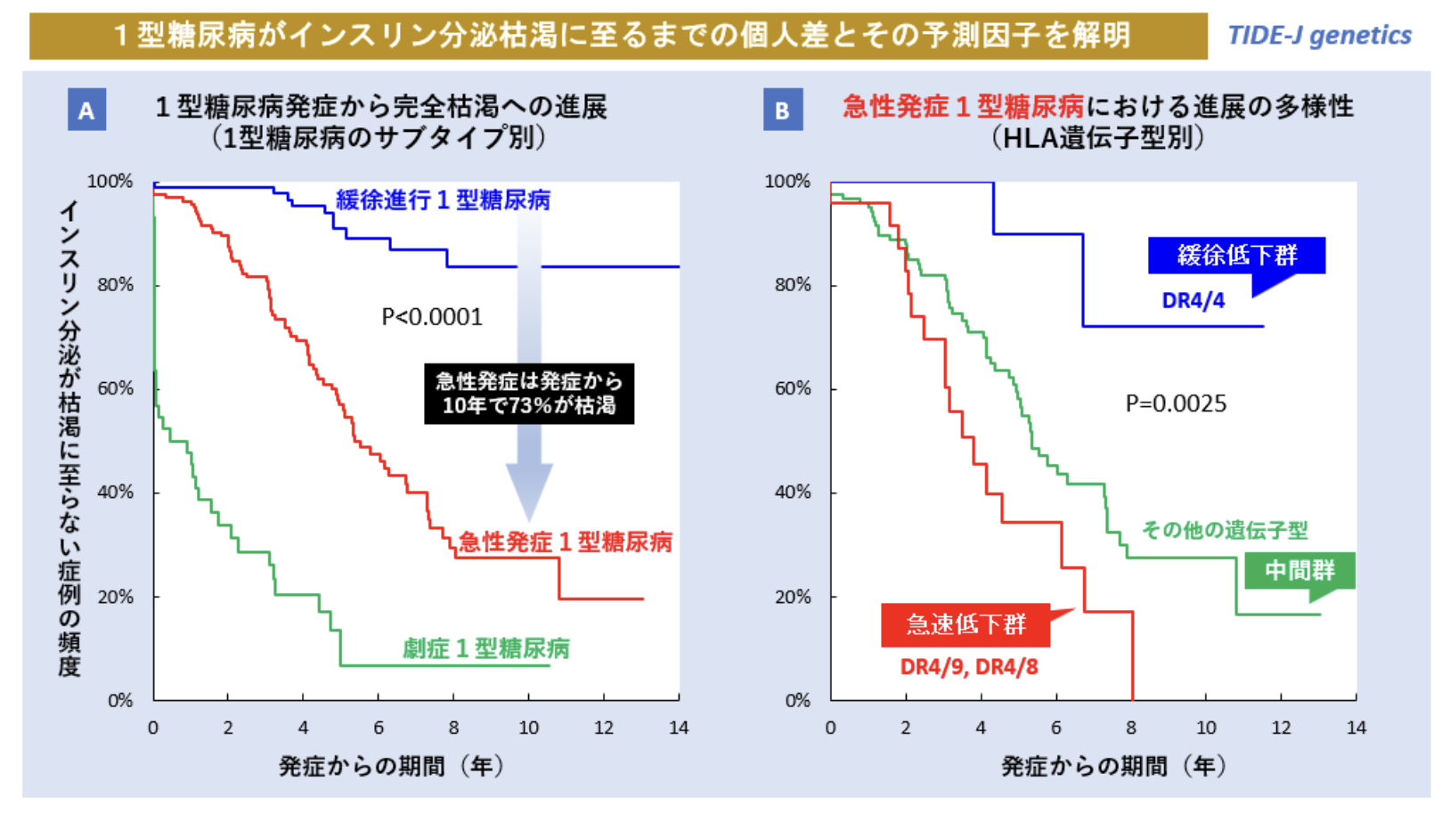 1型糖尿病患者のインスリン枯渇に関わる遺伝子を解明　14年間の経年調査によりインスリン枯渇速度の個人差を確認