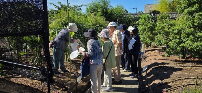 近大薬学部薬用植物園が「夕暮れに植物園散歩　2026」を開催　夕方に特別開園し、園内の植物を紹介する案内ツアーを実施