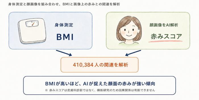 大阪・関西万博に来場した41万人超の健康測定データをAIで解析　BMIが高いほど顔面の「赤みスコア」が高いことを発見