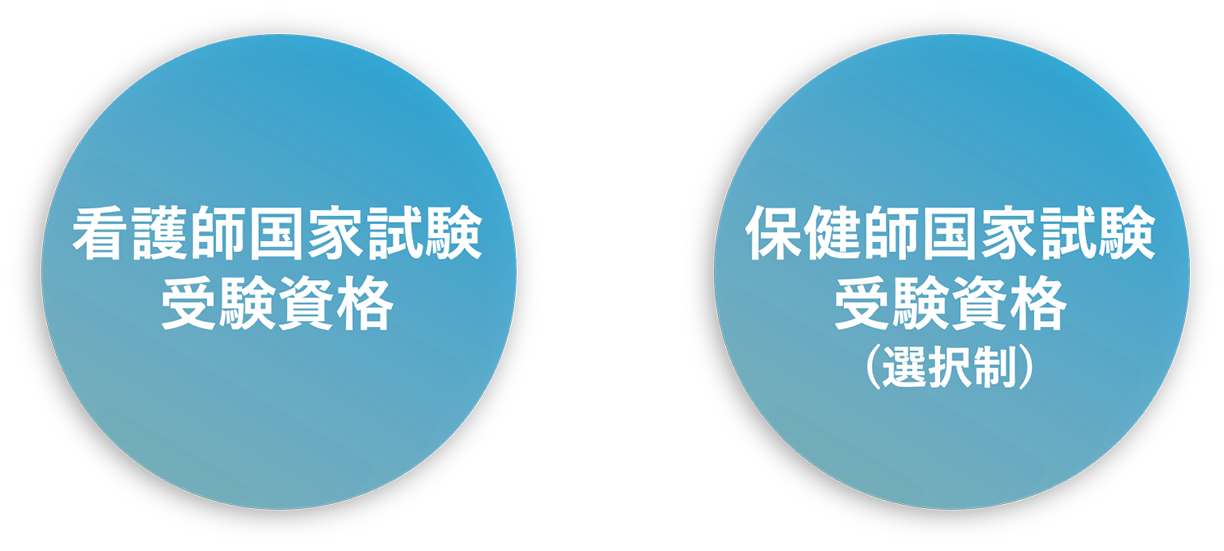 看護師国家試験受験資格、保健師国家試験受験資格（選択制）
