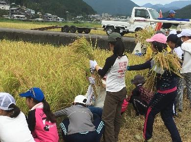 中学生が熊野川町で田植えを体験　「紀伊半島大水害」の復興地域で「ふるさと教育」を実施