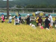 中学生が熊野川町で稲刈体験　地域の文化や自然を学ぶ「ふるさと教育」を実施