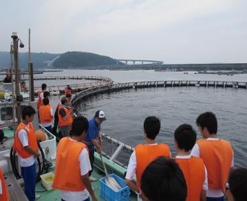 近畿大学水産研究所&#215;近畿大学附属新宮高校　高校生が「近大マグロ」のふ化を観察