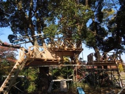 小学校にツリーハウス「森のひみつきち」が誕生!　建築学部の学生がツリーハウスを建設