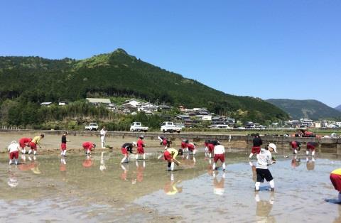 中学生が熊野川町で田植えを体験　「紀伊半島大水害」の復興地域で「ふるさと教育」を実施