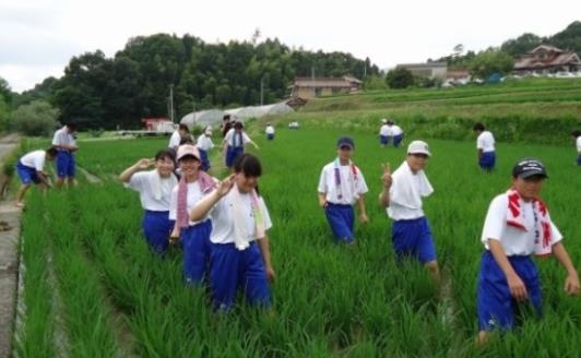 稲作実習で除草作業を体験　地域とつながり、感謝の気持ちを育てる総合学習