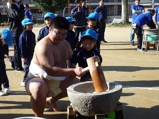 園児と相撲部学生の交流「もちつき大会」　日本の伝統「餅つき」の由来や正月についての理解を深める