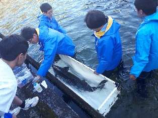 高校生が育てたチョウザメから初のキャビアを実食　近畿大学水産研究所の教員から学ぶ「水産養殖基礎講座」