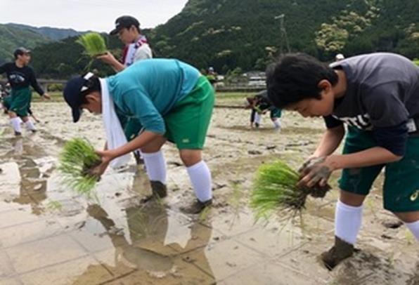 中学生が熊野川町で田植えを体験　「紀伊半島大水害」の復興地域で「ふるさと教育」を実施