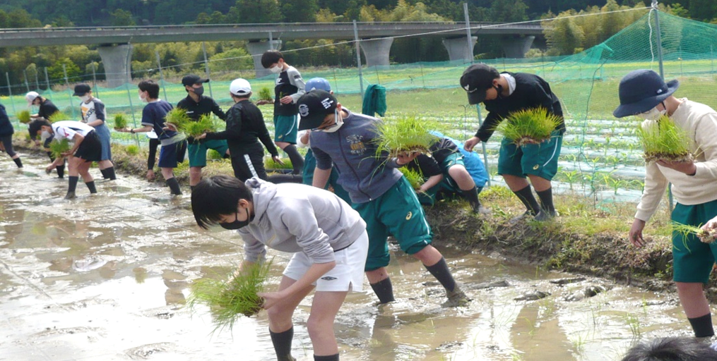 近畿大学附属新宮中学校1年生が熊野町で田植えを体験　紀伊半島大水害の復興地域で「ふるさと教育」を実施