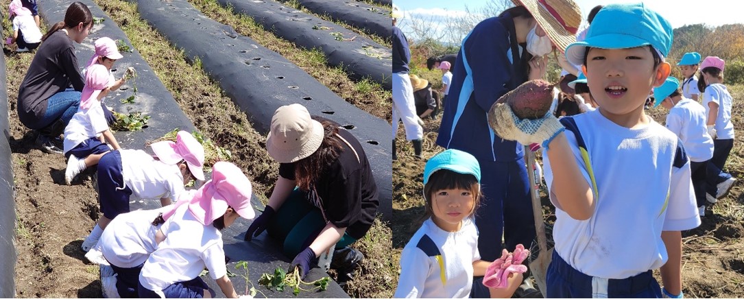 幼稚園児が収穫した芋や野菜を使用し、「キッズクッキング」を実施　苗を植え、収穫し、調理して、食べる食育教育の集大成