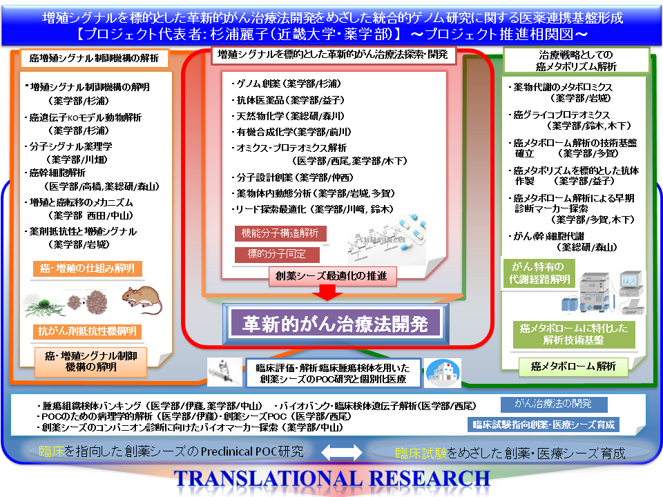 増殖シグナルを標的とした革新的がん治療をめざした統合的ゲノム研究に関する医薬連携基盤形成〜プロジェクト推進相関図〜