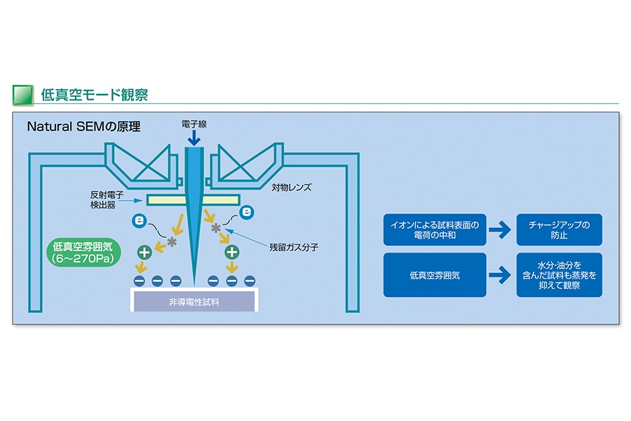 高分解能電界放出形走査電子顕微鏡装置