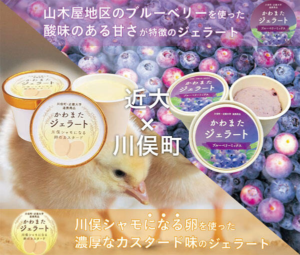 川俣町産の食材を使ったオリジナルジェラートが誕生
