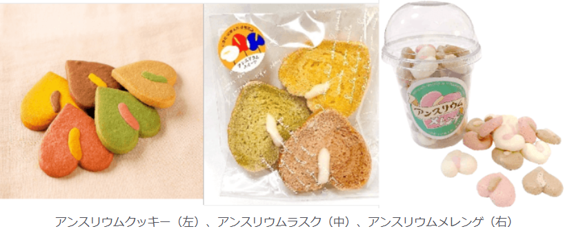 近大生が東日本大震災復興支援のスイーツを奈良で初販売　売上の一部は熊本地震の被災地に寄付