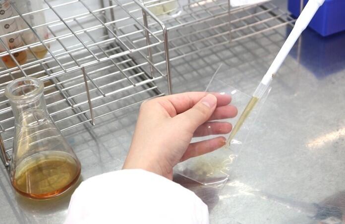微生物に物理的ストレスを与えない画期的な液体培養方法　実験の省エネ・省スペース化も実現する研究成果
