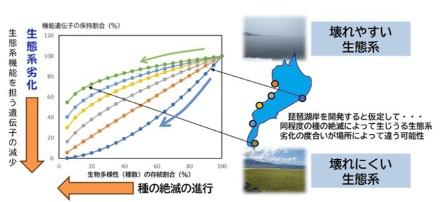 一杯の水・一掴みの土から生態系の壊れにくさを診断しよう　～細菌群集が担う生態系レジリエンス診断評価技術の開発～
