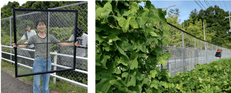 世界初！静電気の技術を活用した設置型雑草抑制装置　「WCP（Weed Control Panel）」を産学連携で共同開発