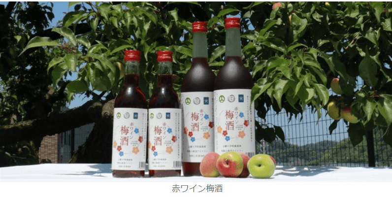近畿大学附属湯浅農場産の南高梅を使用した「赤ワイン梅酒」　数量限定販売と湯浅町ふるさと納税返礼品として提供