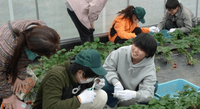 神奈川県議会　共生社会特別委員会の議員が近畿大学農学部を訪問　障がいのある方の農業参入の取り組みを視察