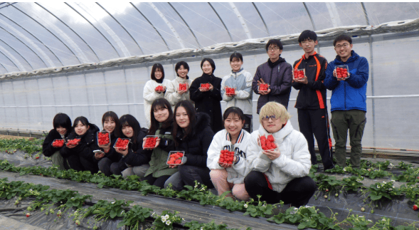 ICT（情報通信技術)を活用した「なら近大農法（ICT農法）」で栽培した　「コープの農場のいちご」の販売を開始します