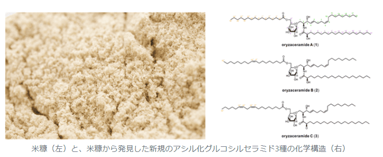 米糠の副産物から3種の新規化合物を発見し、その化学構造を解明　このうち1種が皮膚のバリア機能を高めることを明らかに
